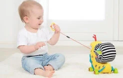 Babyspielzeug Farbige Schnecke Zum Hinterher Ziehen 9 Babyspielzeug Farbige Schnecke Zum Hinterher Ziehen -Babyprodukte Laden dolce babyspielzeug farbige schnecke zum hinterher ziehen 3