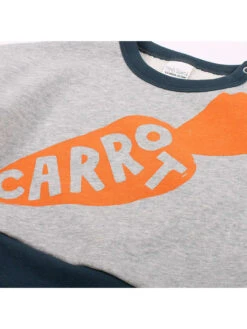 Sweatshirt In Grau/ Bunt 7 Sweatshirt In Grau/ Bunt -Babyprodukte Laden fred s world by green cotton sweatshirt in grau bunt 2