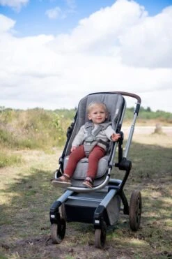 Buggy Einlage Dijon Daily In Grau 14 Buggy Einlage Dijon Daily In Grau -Babyprodukte Laden koeka buggy einlage dijon daily in grau 3