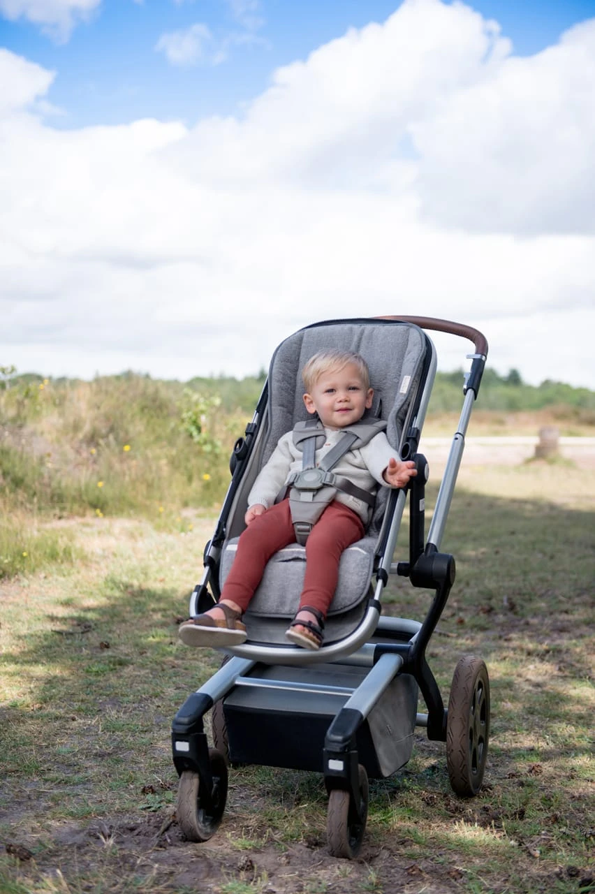 Buggy Einlage Dijon Daily In Grau 6 Buggy Einlage Dijon Daily In Grau – Bild 4