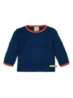 Sweatshirt In Blau